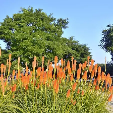 Apartment La Rose Et Le Reseda - Enjoy Space, The Terrace And The Eiffel Tower View Appartamento